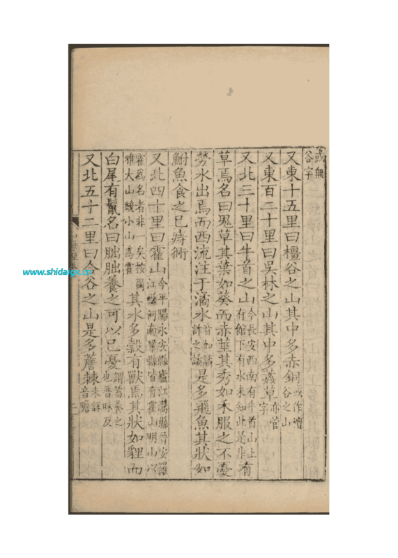 朏朏 fěi fěi - 普通高阶山海兽-世代