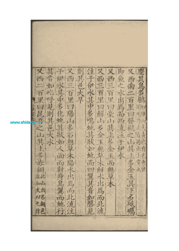 垄蚳 lǒng chí - 副乙级山海兽-世代