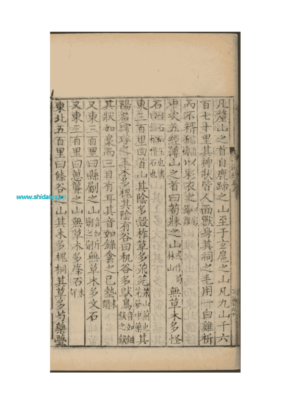 䲦dài 又名 𩿁dài  - 普通高阶山海兽-世代