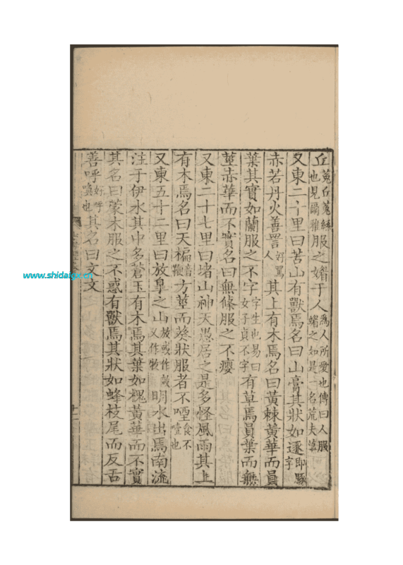 文文 - 普通高阶山海兽-世代