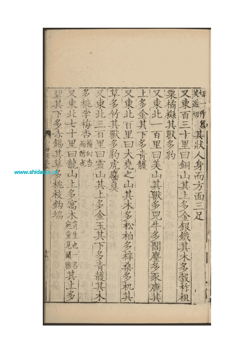 20251211123453681-lvchen (2)